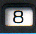 8.gif (15829 bytes)